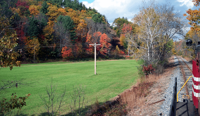 Foliage on Lake Winnipesaukee