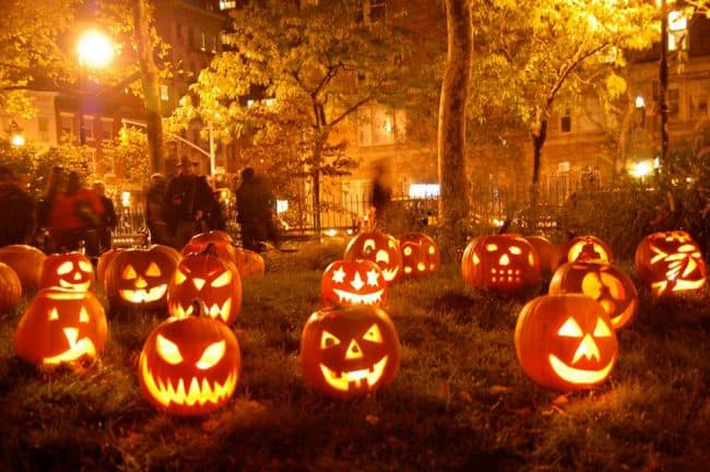 The pumpkins are alive!