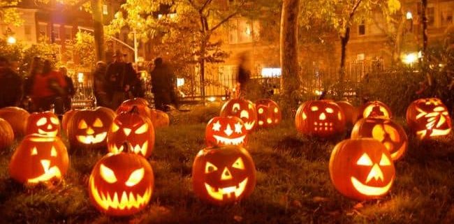 The pumpkins are alive!